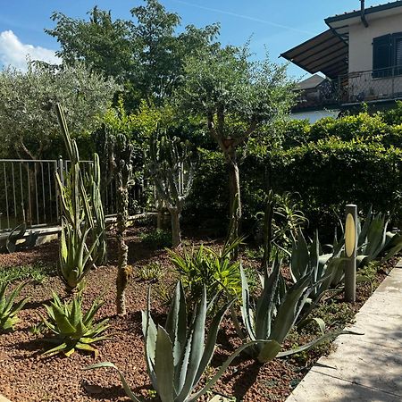 Casa Vacanze "Il Porticciolo" Manerba del Garda Exterior foto